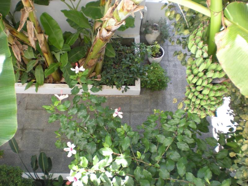 Manolis' House - image 6