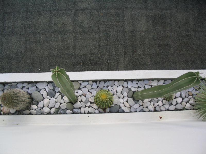 Manolis' House - image 17