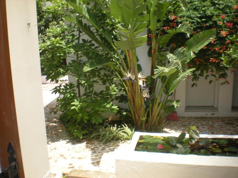 Manolis' House - image 45