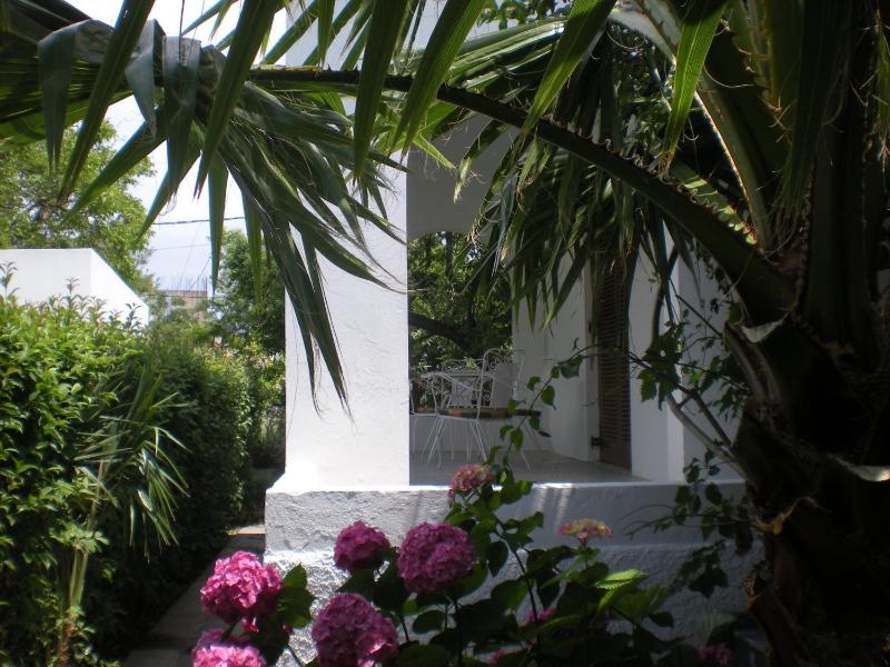 Manolis' House - image 49