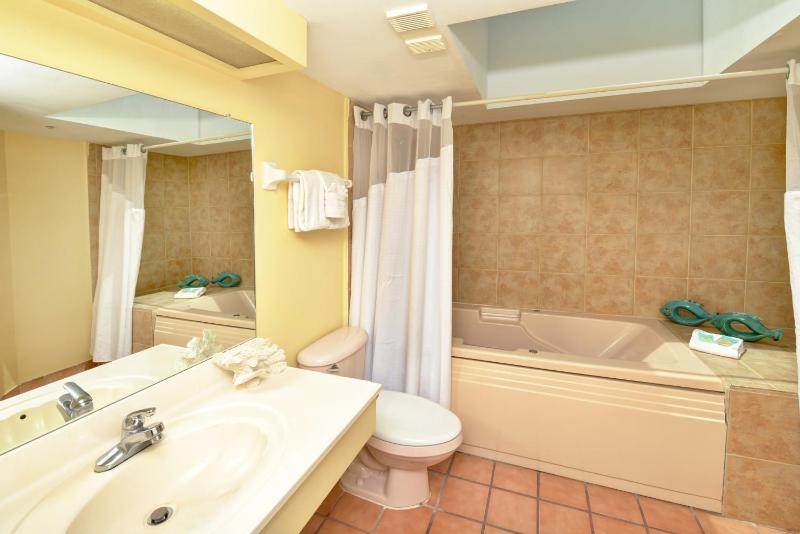 El Caribe Resort & Conference Center - image 14