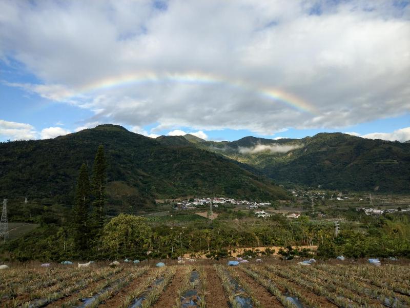 Kai Tai B&B - image 20