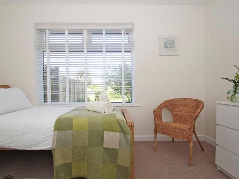 Seagrass - image 8