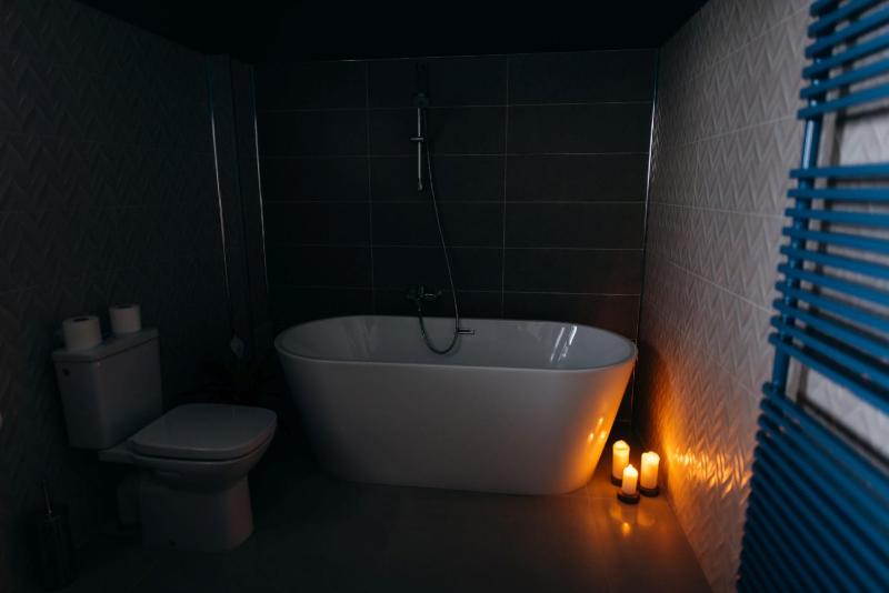 One-Bedroom Apartment image 4