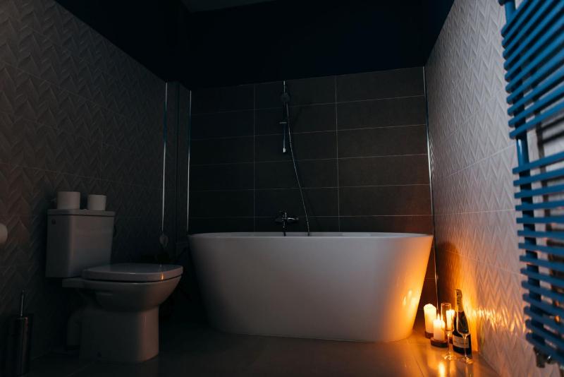 One-Bedroom Apartment image 2