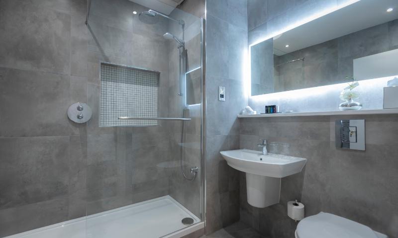 Deluxe Suite image 1