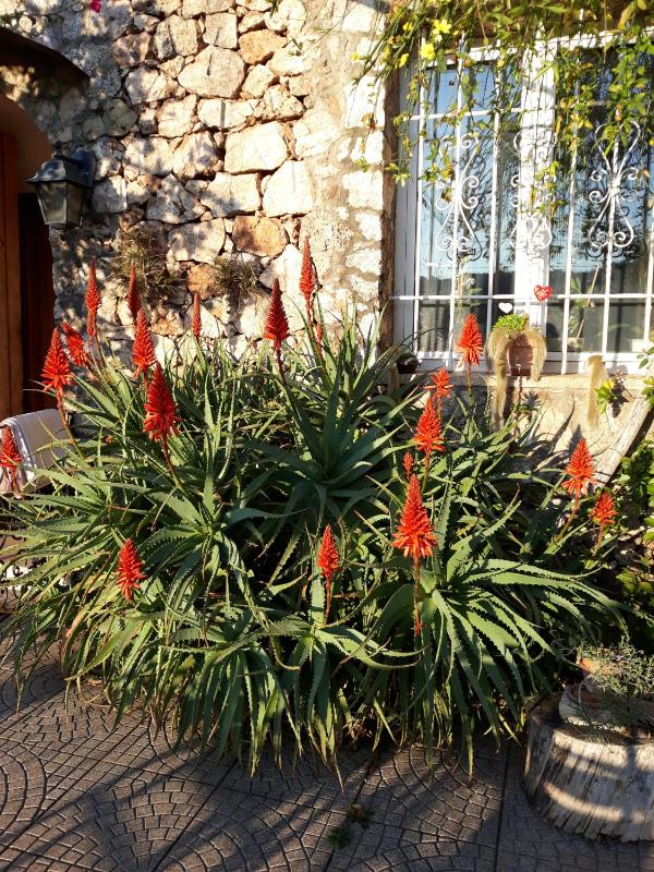 B&B Sopra il Borgo - image 9
