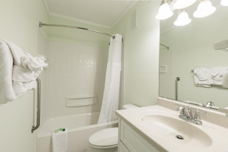 One-Bedroom Apartment image 3