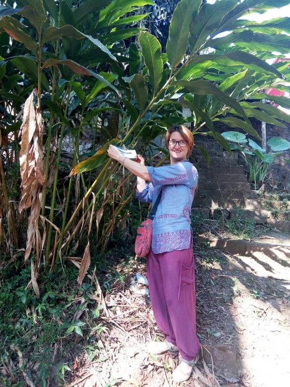 Spice Garden Farm house - image 23