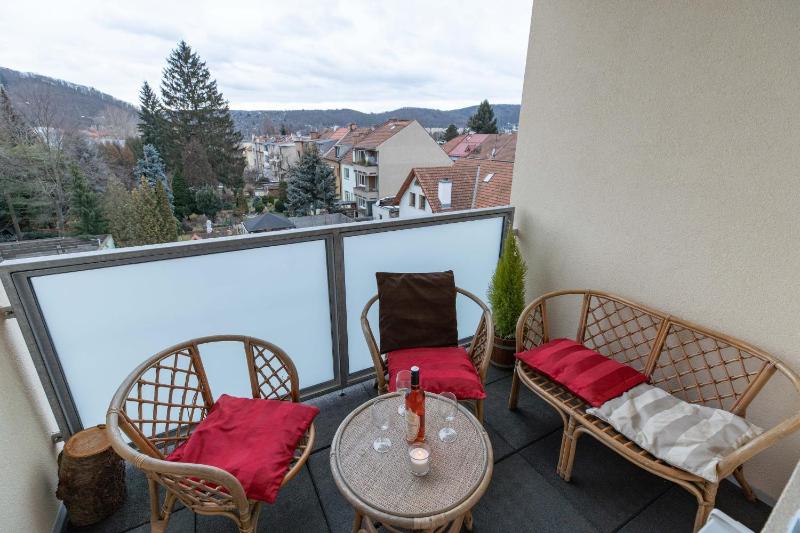 Deluxe One-Bedroom Apartment with Terrace image 3
