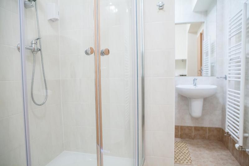 One-Bedroom Apartment image 2