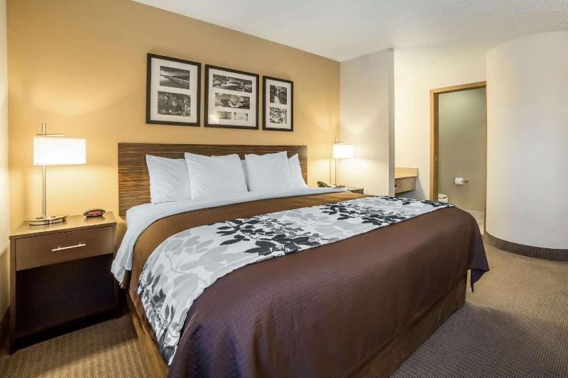 King Room - Non-Smoking image 2