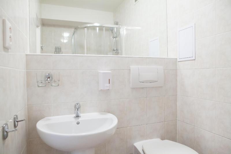 One-Bedroom Apartment image 4
