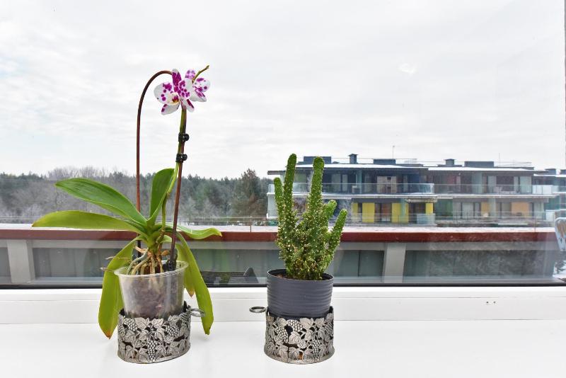 Studio Pluke - image 38