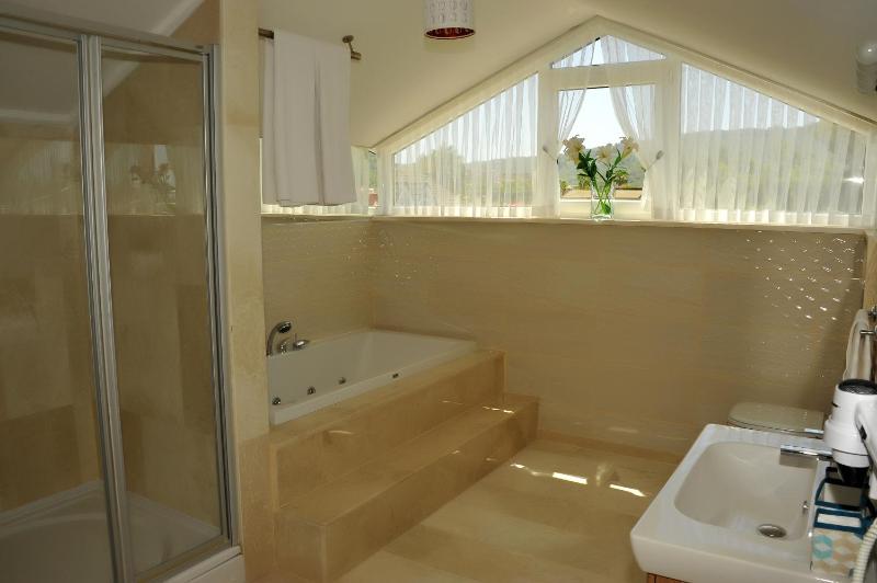 Superior Suite image 2