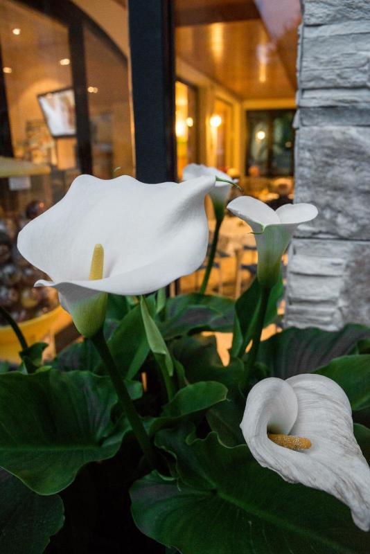 Hotel Fiordaliso - image 24