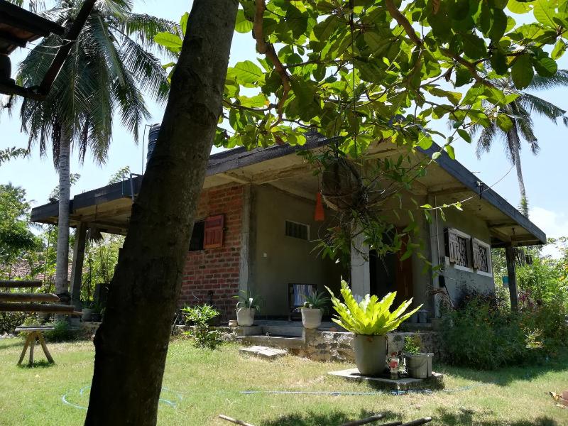 Julianu - image 29