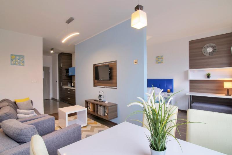 Comfort Apartment image 1