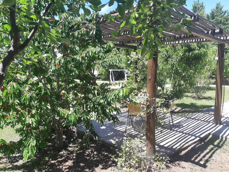 Villa Ciruelos - image 23