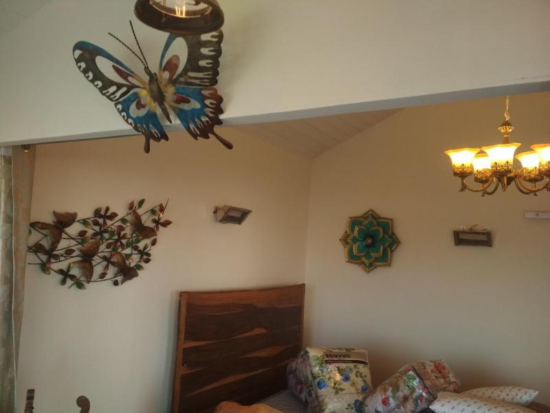 MUSKOTIA Independent Cottages - image 50