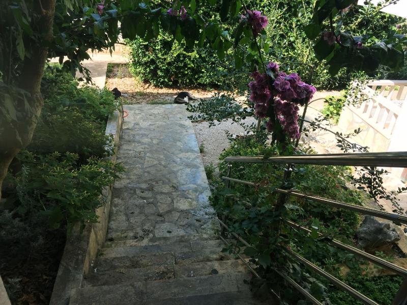 Apartments Horizont - image 11
