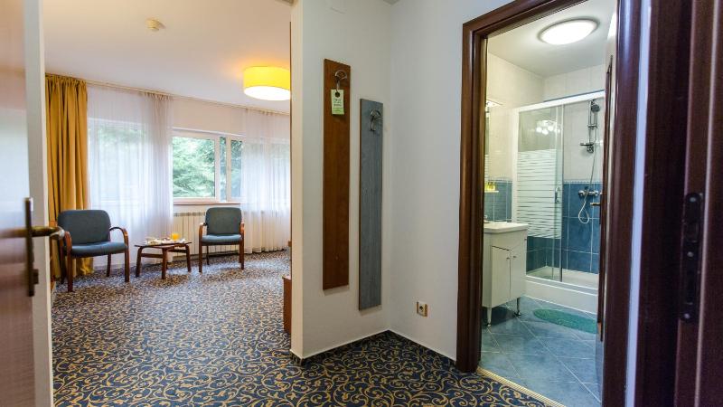 Business Double Room image 1