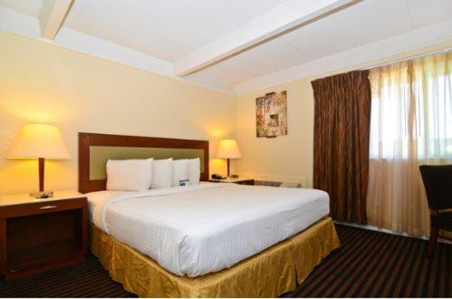 King Room image 1