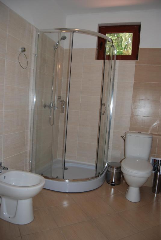 Superior One-Bedroom Apartment image 2