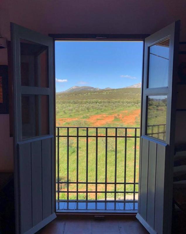 La Guzmana de Ronda - image 15