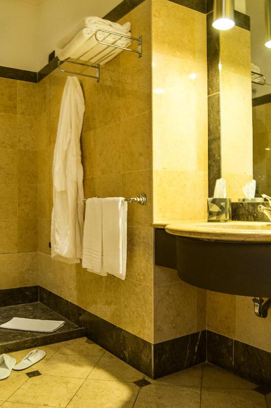 Junior Suite image 3