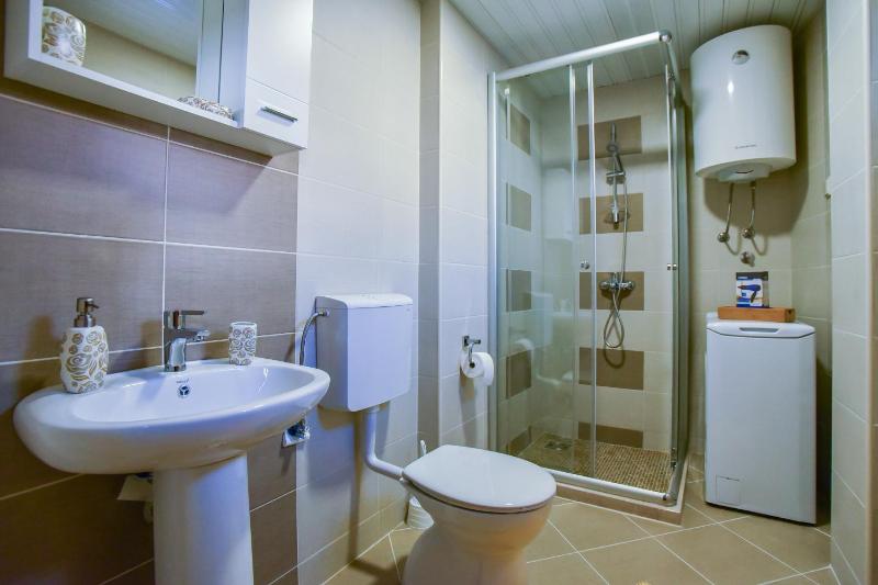 One-Bedroom Apartment image 4