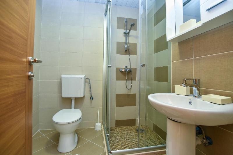 One-Bedroom Apartment image 3