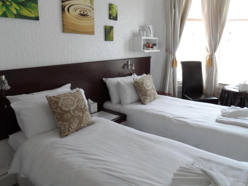 Deluxe Twin Room image 4