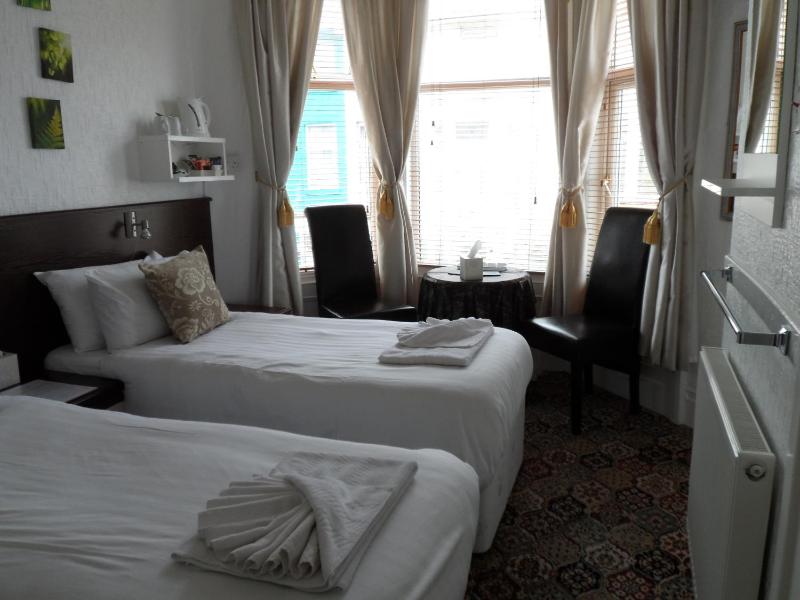 Deluxe Twin Room image 1