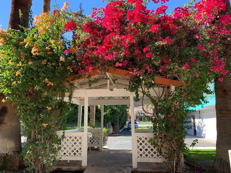 Adara Palm Springs - image 2