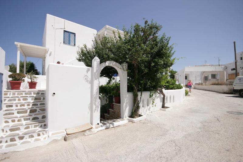 Jasmine - image 1