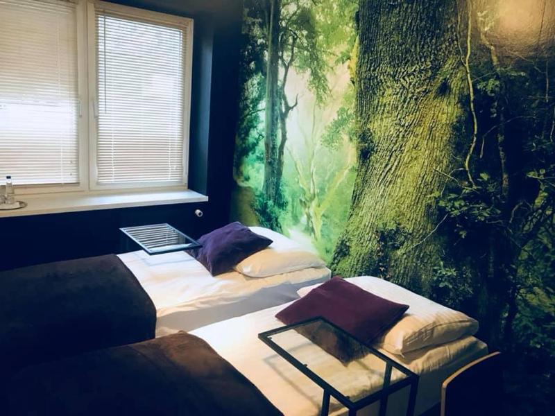 Deluxe Double or Twin Room image 2