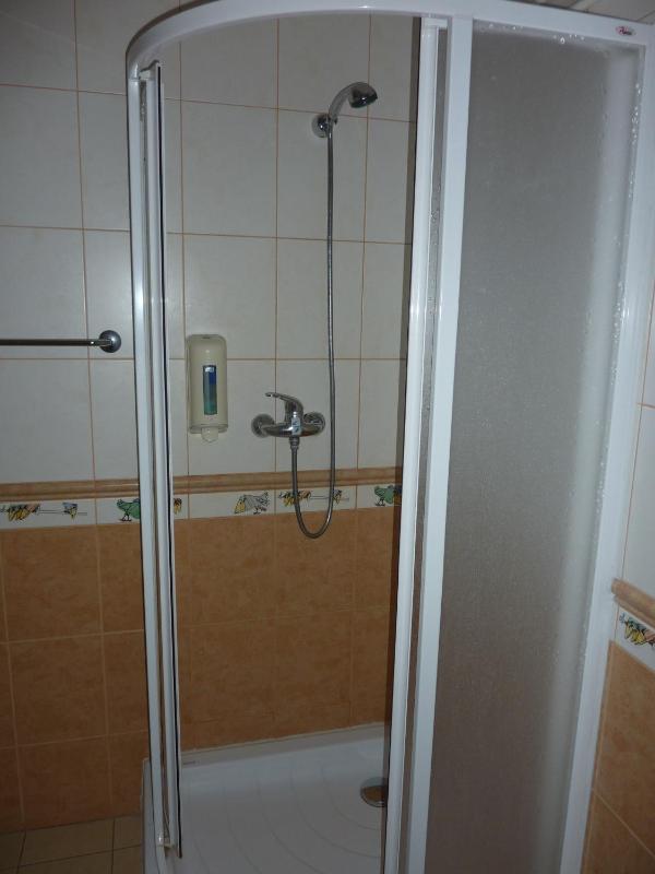 Budget One-Bedroom Apartment image 2