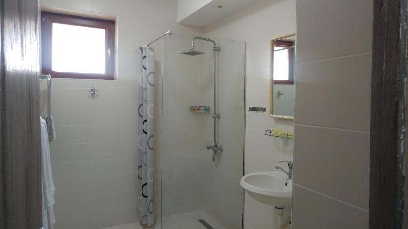 One-Bedroom Apartment image 2
