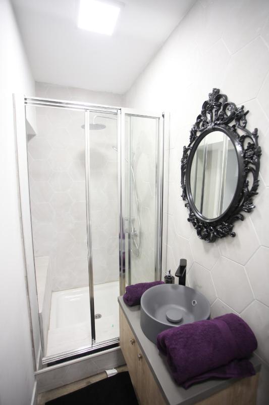 Studio Apartment image 4