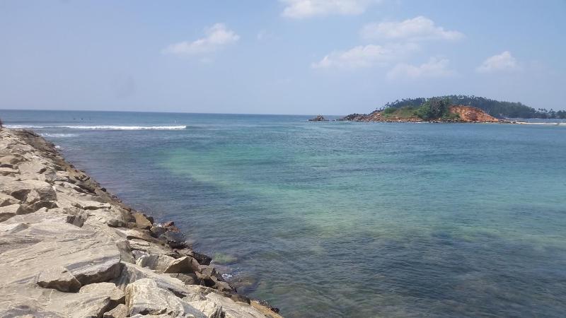 Turtle Reef Guest - image 14