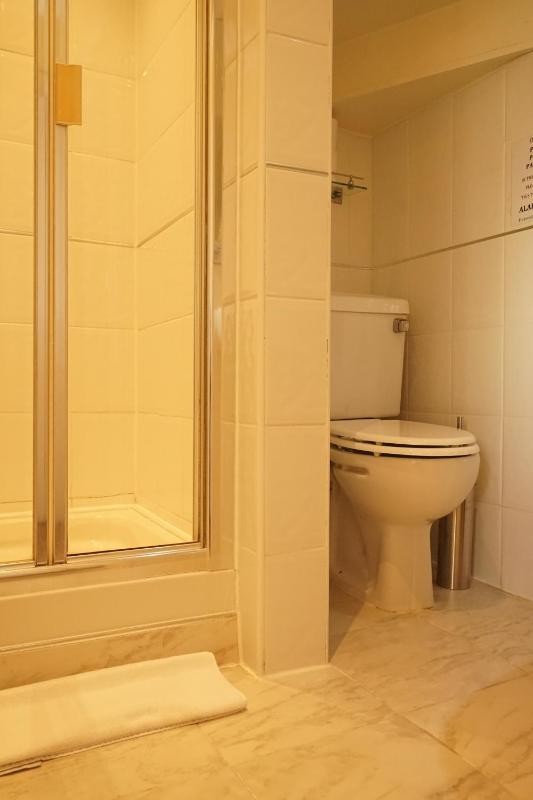 Regency Hotel - image 27