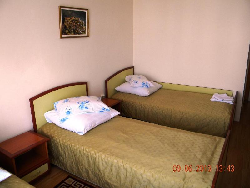 Double or Twin Room image 4
