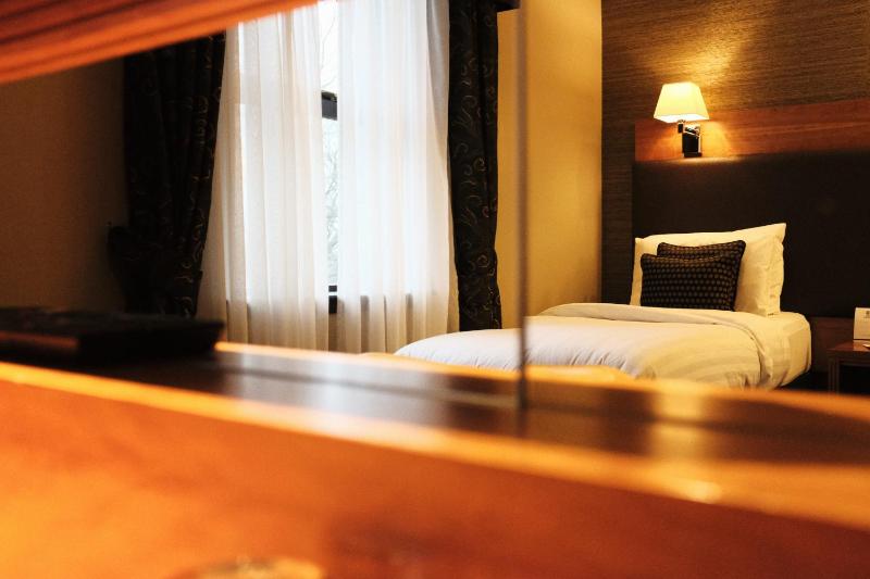 Standard Twin Room image 2