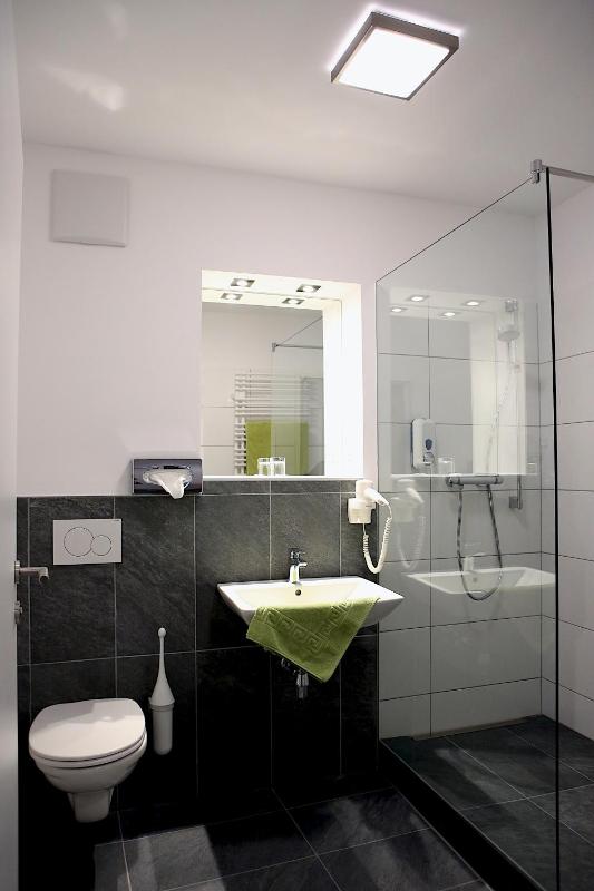 Standard Twin Room image 3