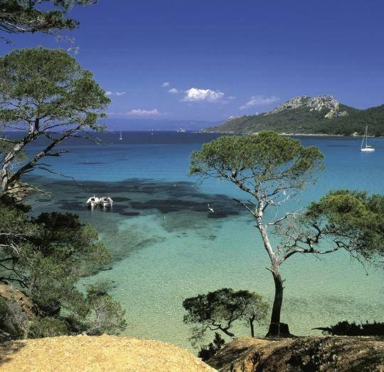 Hôtel Almanarre Plage - Hôtel Eco-Responsable face à la mer - image 12