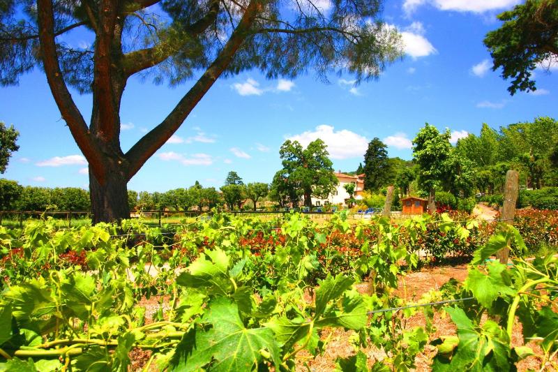 Cortona Resort & Spa - image 2