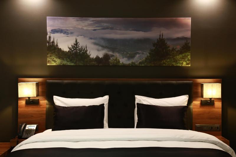 Deluxe Double Room with Shower image 2