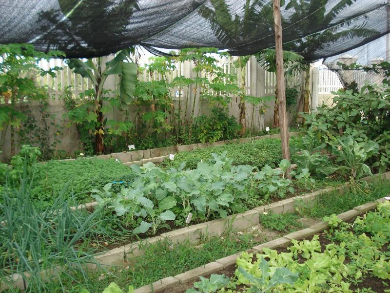 Villaggio dos Ventos - image 27