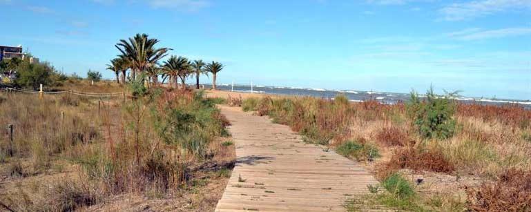 Albaranas LOCDENIA - image 8